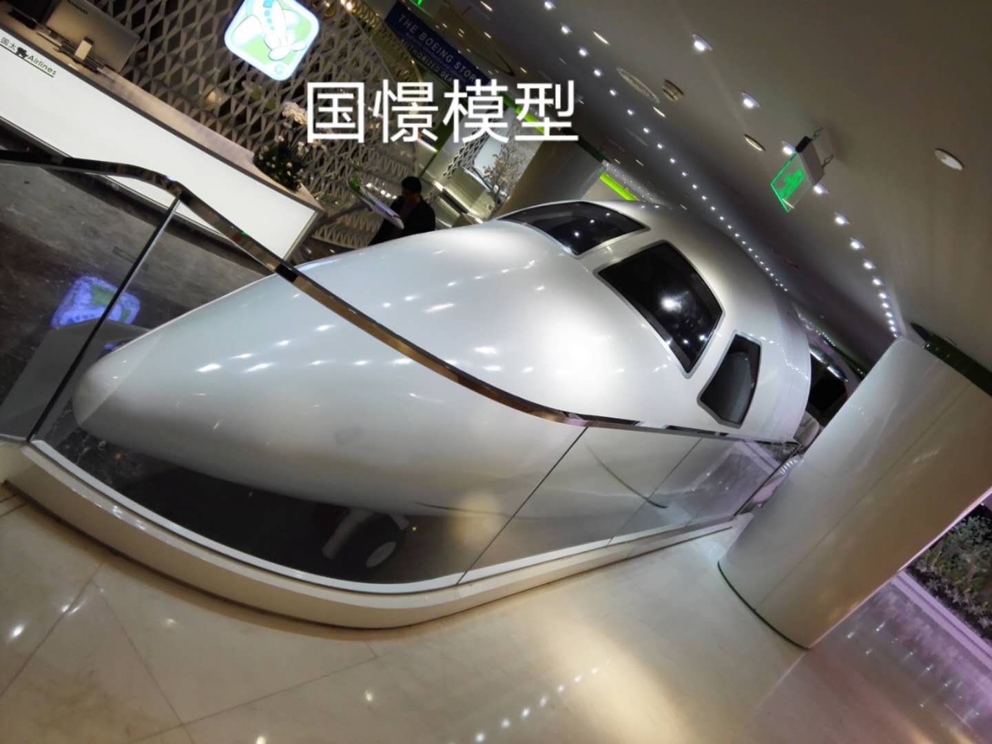 靖江市大型仿真模型道具